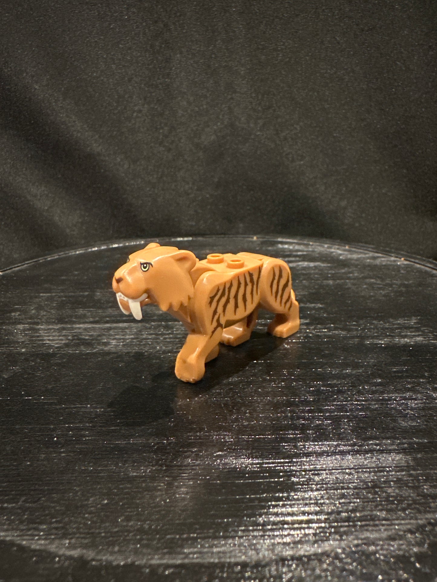 Saber tooth tiger.