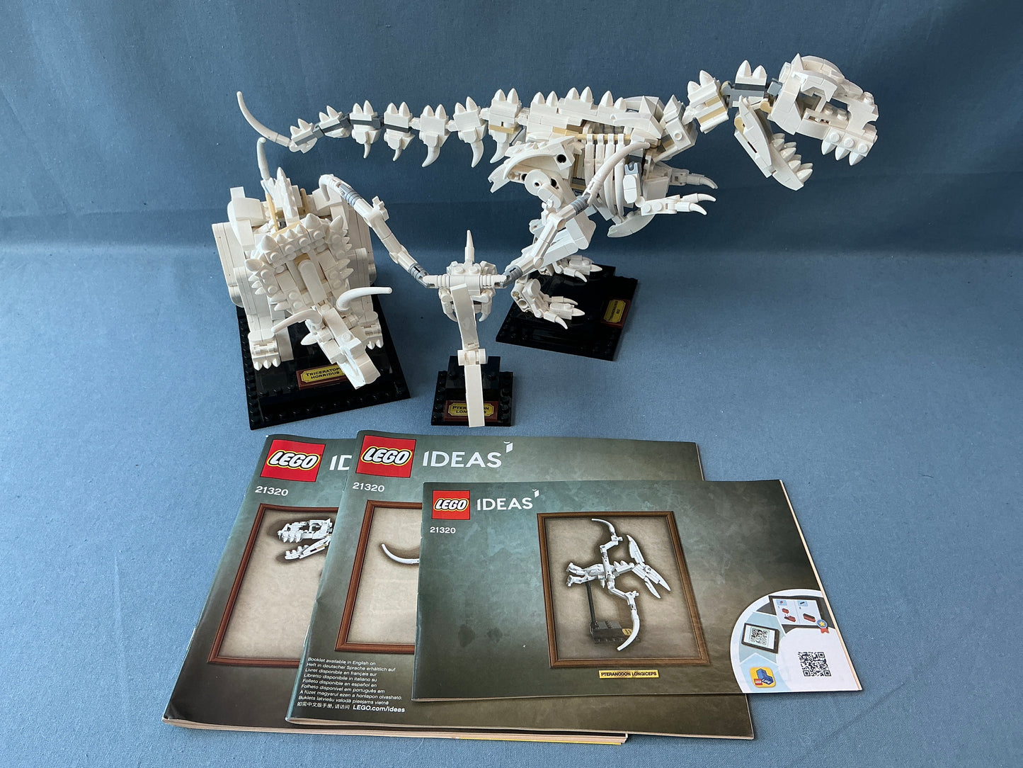 LEGO Ideas. Dinosaur Fossils. 21320. (Used)