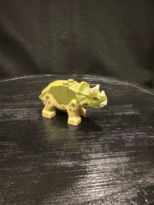 Baby Triceratops.