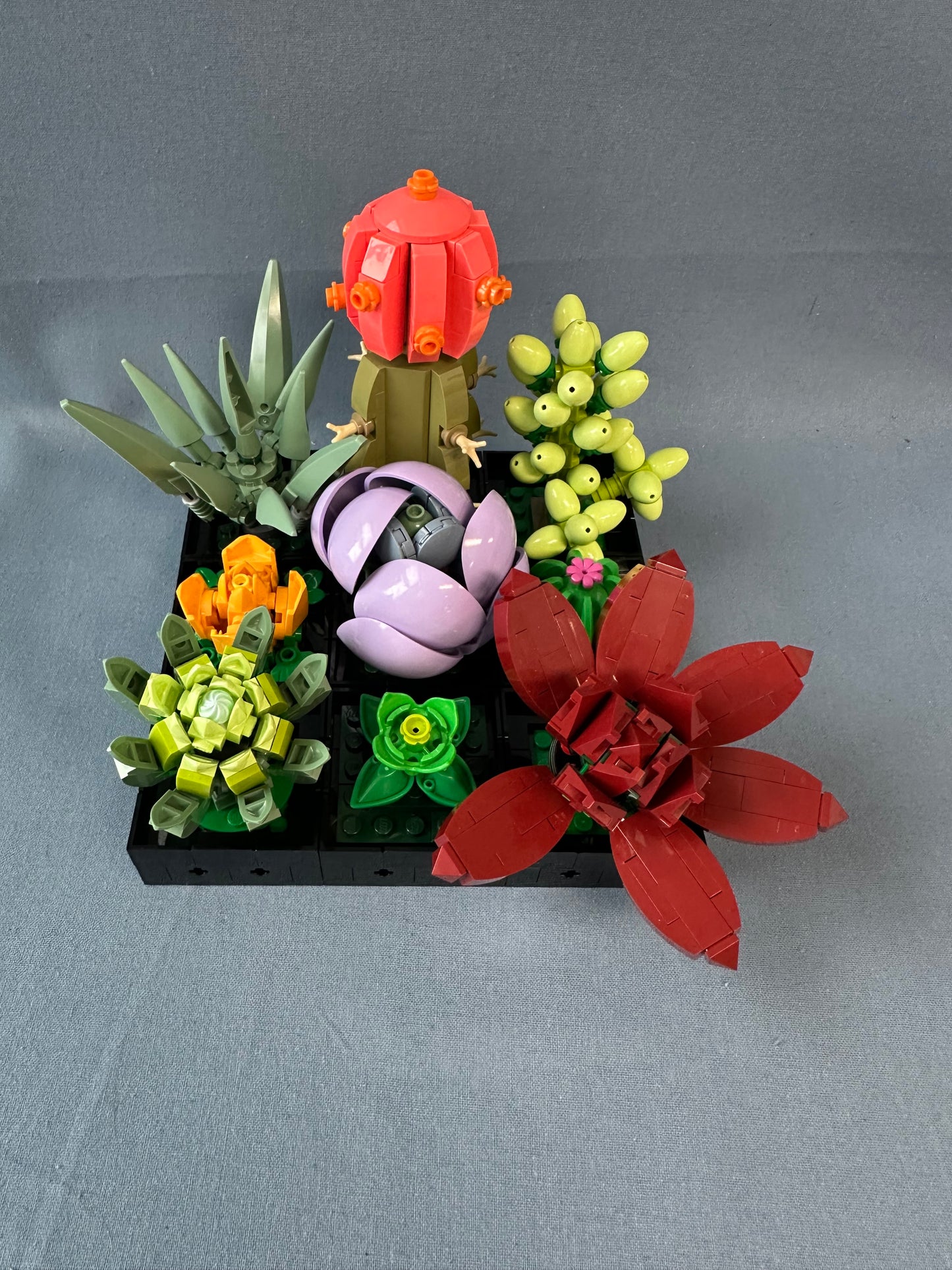 LEGO Botanical. Succulents. 10309. (Used)