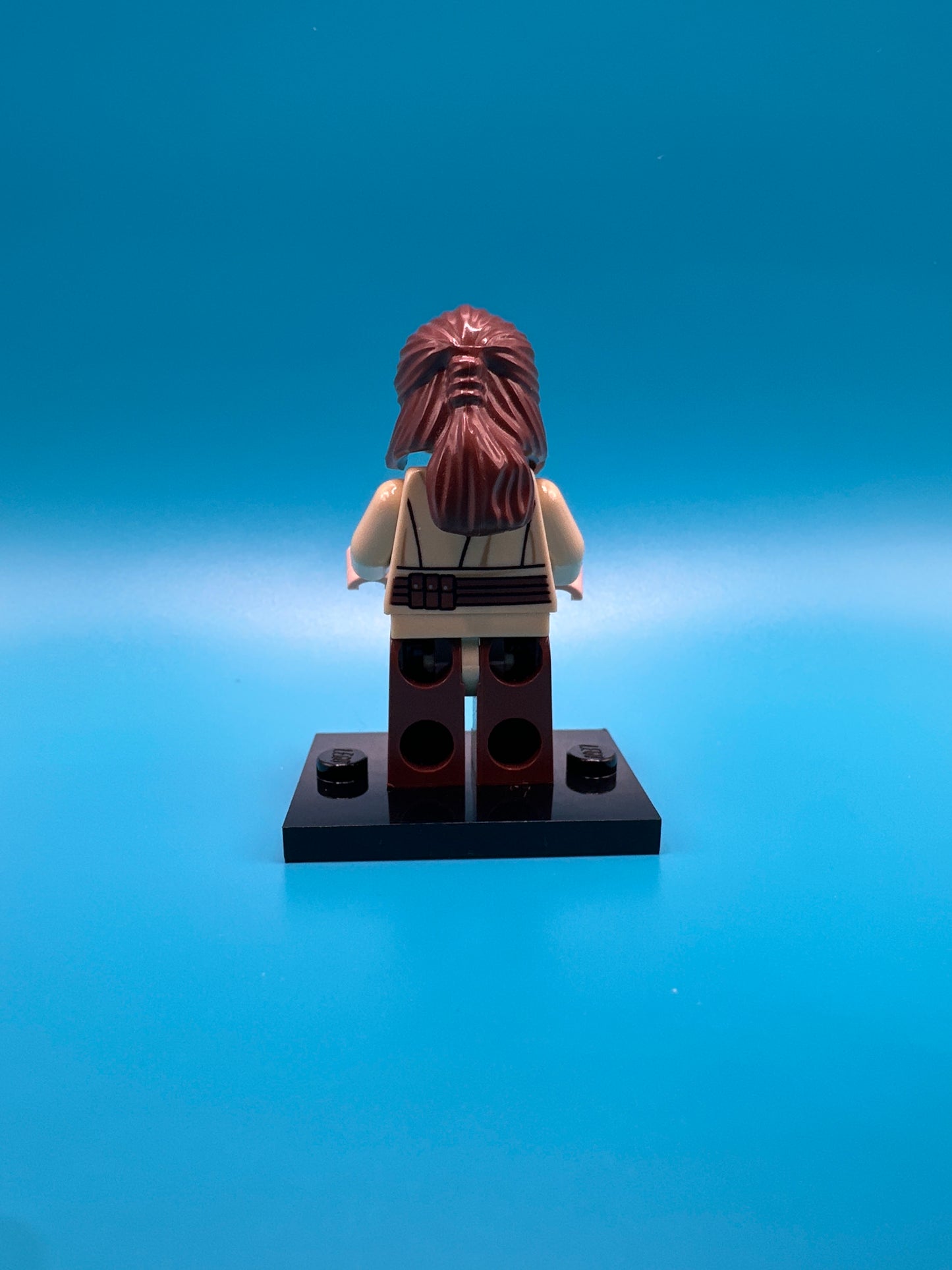 LEGO Star Wars Minifigure. Qui-Gon Jinn. sw0651