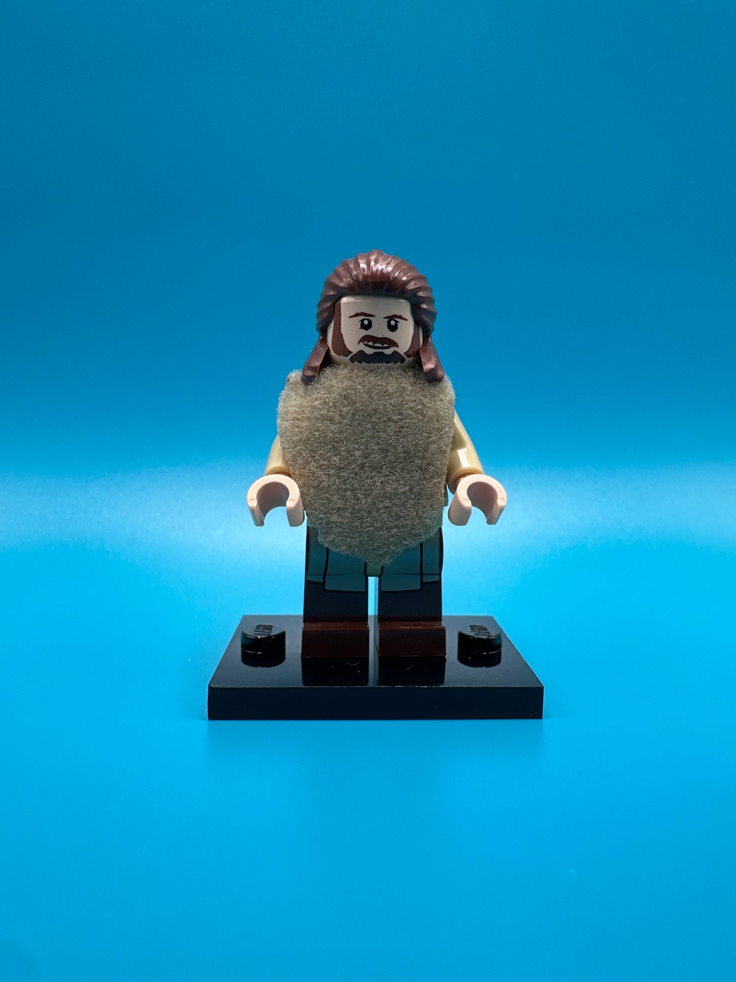 LEGO Star Wars Minifigure. Qui-Gon Jinn. sw0651